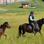 © la-norma-ranch-equestre - DR OT La Norma