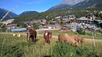 © la-norma-ranch-equestre - DR OT La Norma