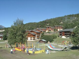 Campanules 19F