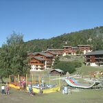 Campanules 19F