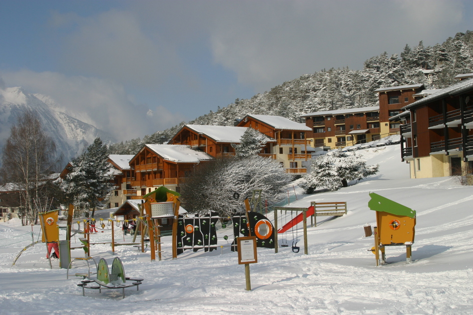 Campanules 19F