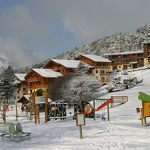 Campanules 19F