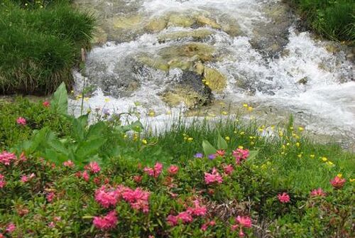 Vallon de l'Orgère